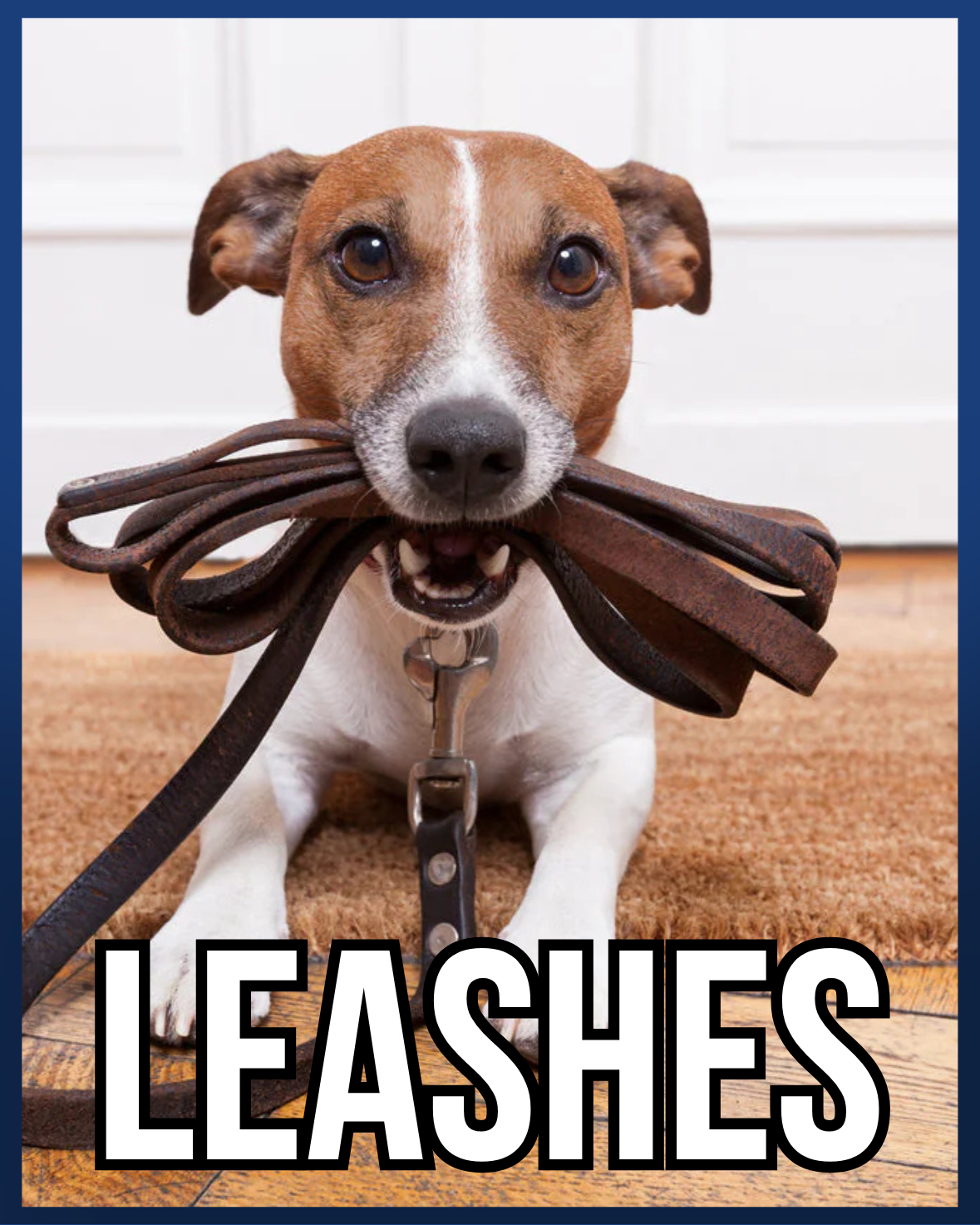 LEASHES
