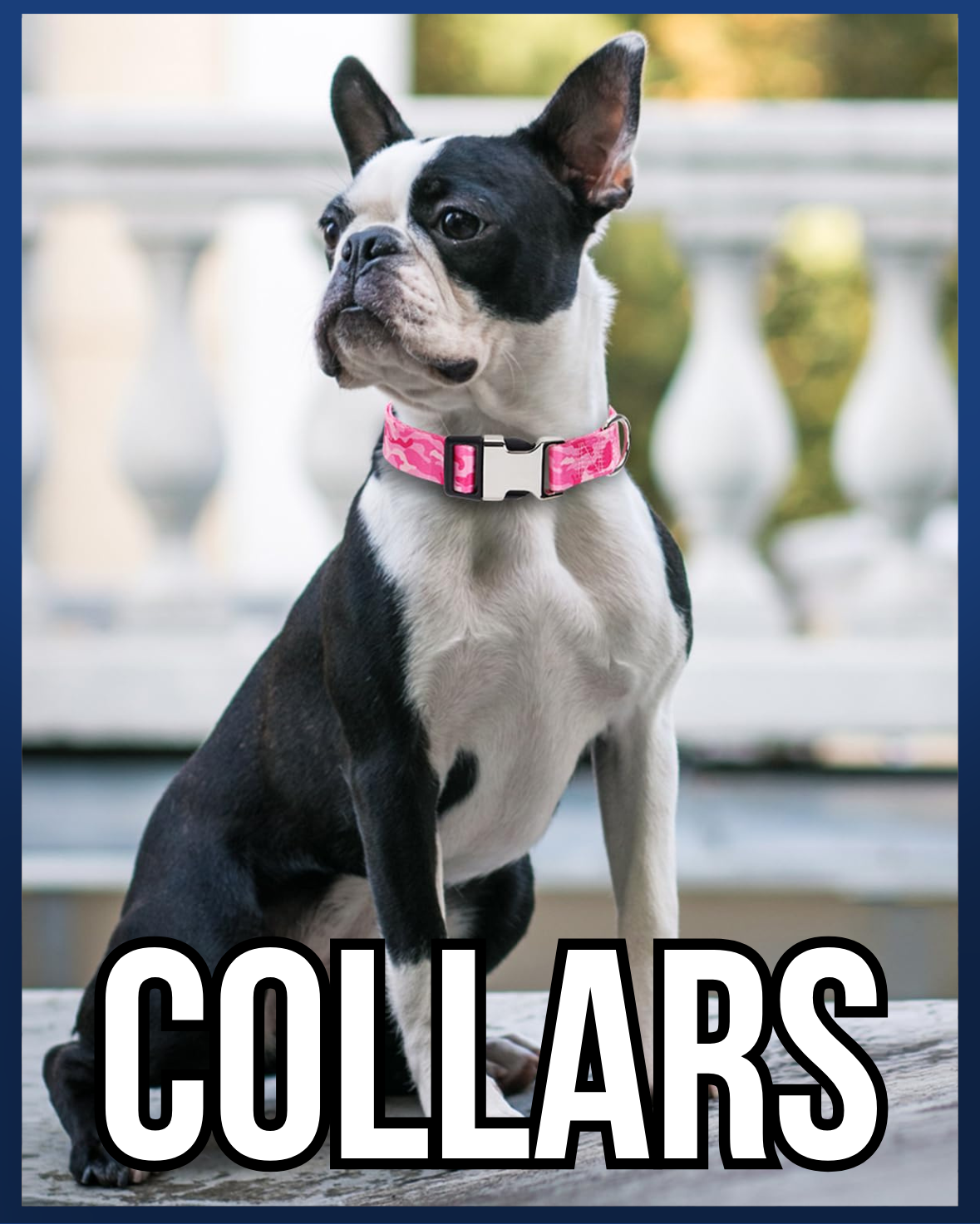 COLLARS