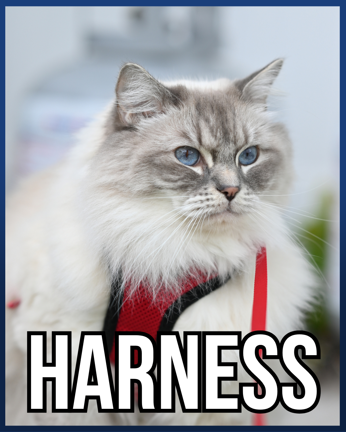 HARNESS