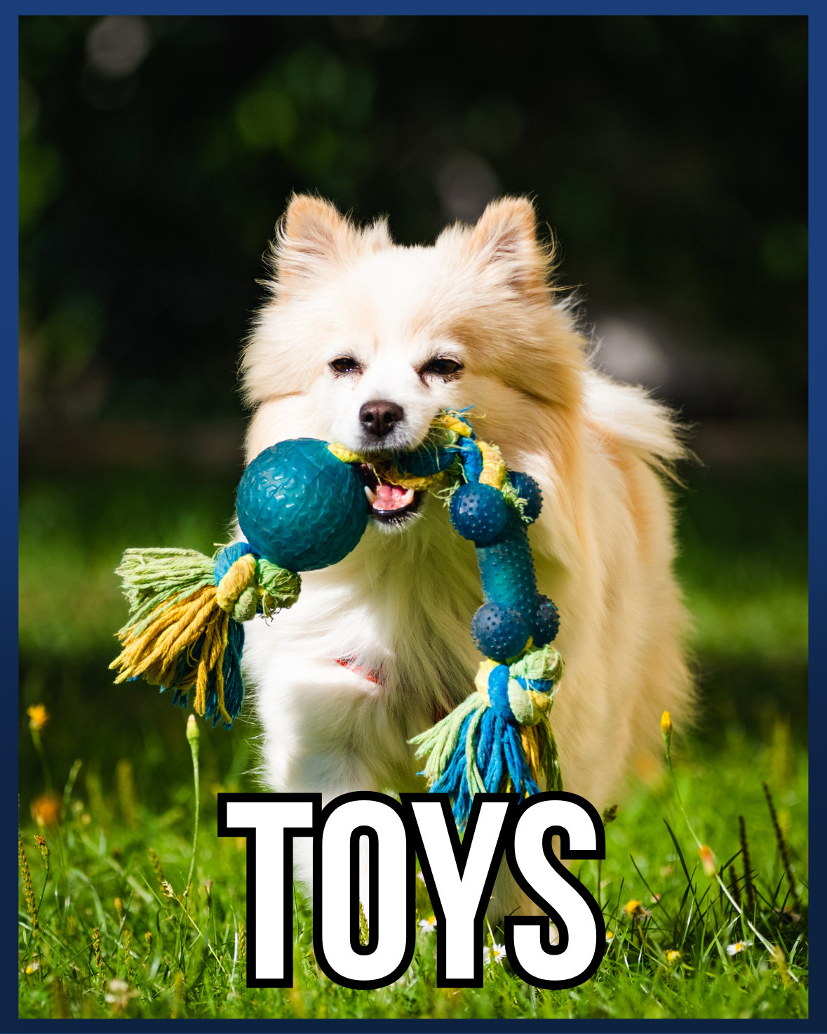 TOYS