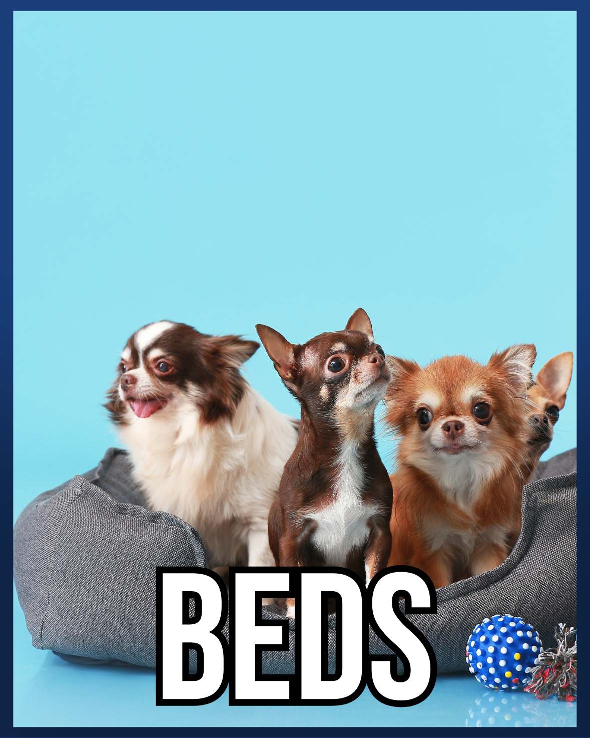 BEDS
